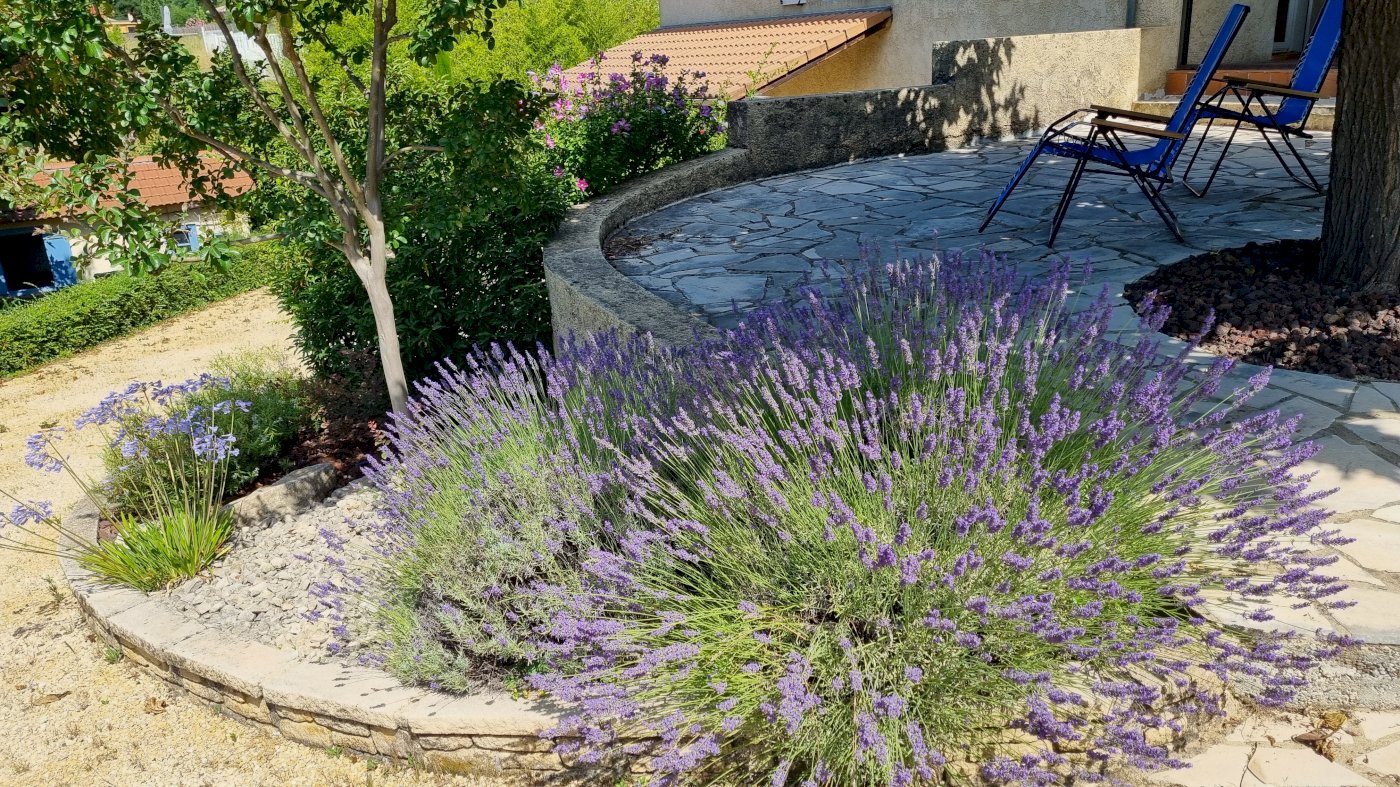 Très jolie maison individuelle - Photo 10 - Saillans