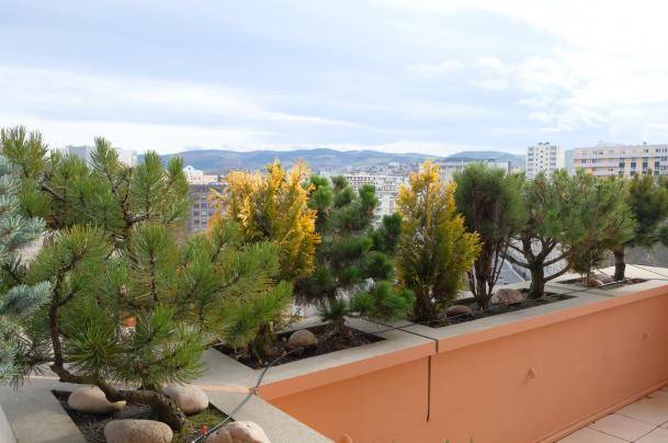 Exceptionnel DUPLEX AVEC VUE! - Photo 11 - Saint-Étienne
