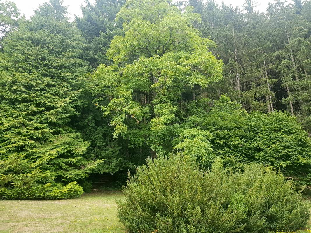 Maison de 134m² avec grand terrain - Photo 11 - Saint-Pierre-Colamine
