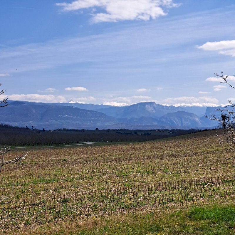 Grande Maison Traditionnelle à la campagne / 9 pièces / 180 m² / Terrain 1500 m² à 15 minutes gare SNCF et accès autoroute - Photo 11 - Saint-Bonnet-de-Chavagne
