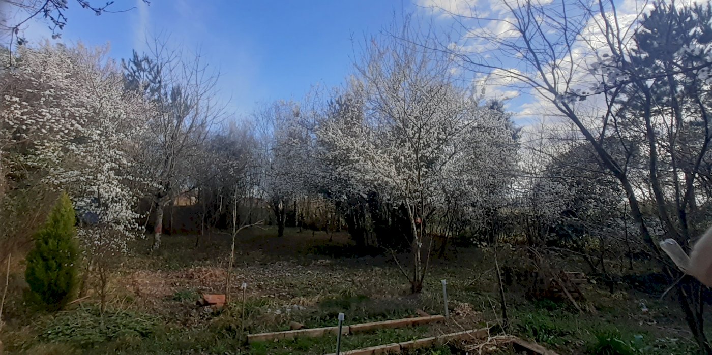 ph12_76264