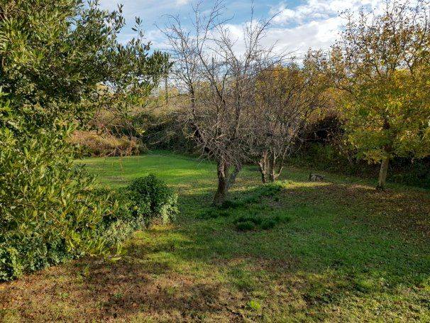 Maison 190 m² avec grand terrain - Photo 13 - Limony