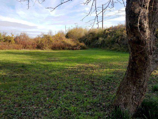 Maison 190 m² avec grand terrain - Photo 14 - Limony