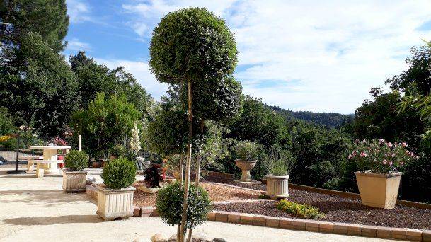 Domaine composé de 2 maisons - Photo 15 - Vals-les-Bains