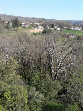 Maison - Photo 2 - Saint-Privat