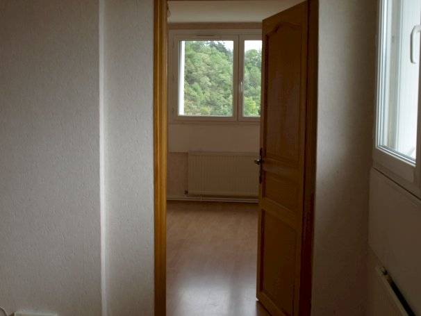 Vend appartement - Photo 3 - Firminy