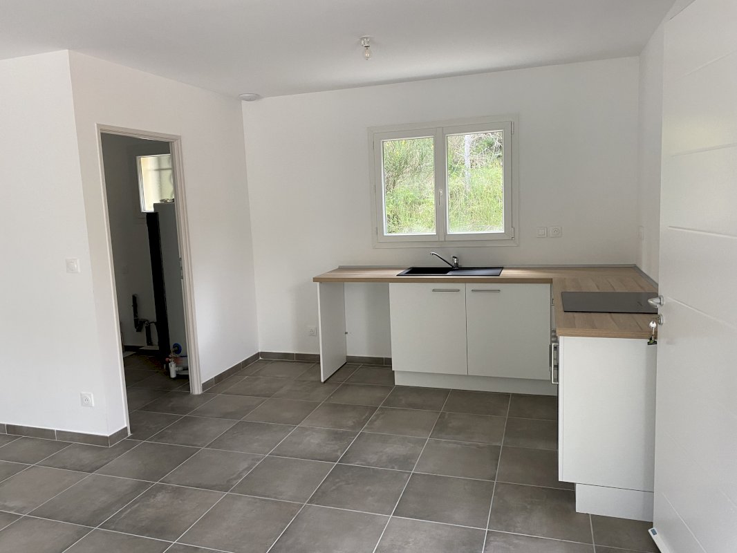 Maison neuve avec piscine - Photo 3 - Propiac