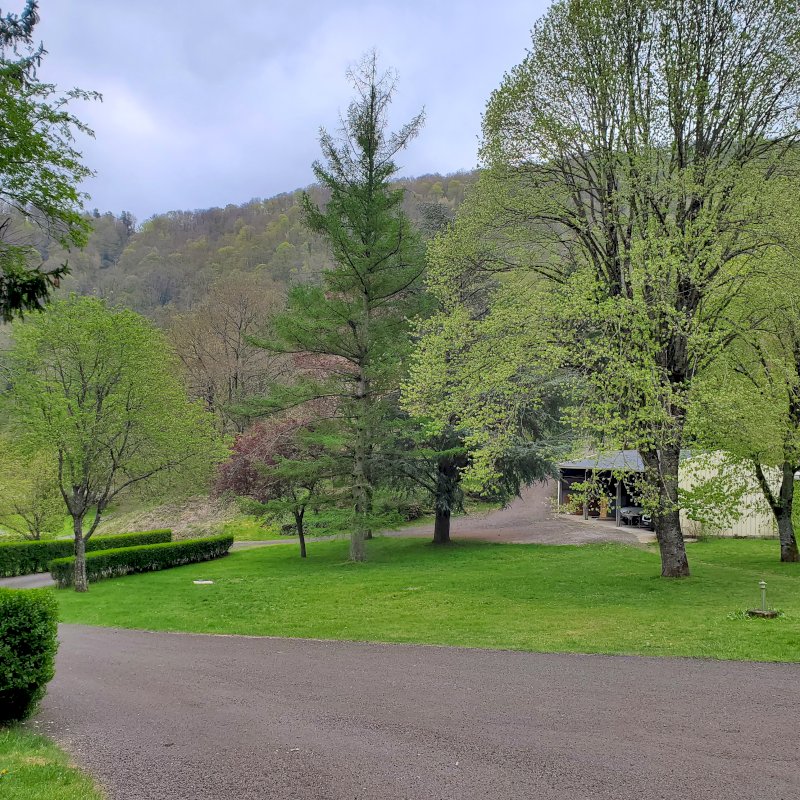 Maison de 134m² avec grand terrain - Photo 3 - Saint-Pierre-Colamine