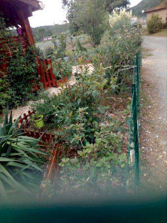 Mazet - Photo 4 - Vallon-Pont-d'Arc