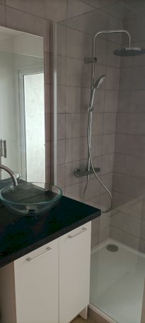 Appartement traversant lumineux - Photo 4 - Roanne