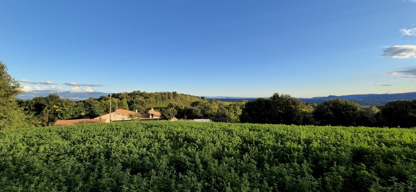 ph4_74038