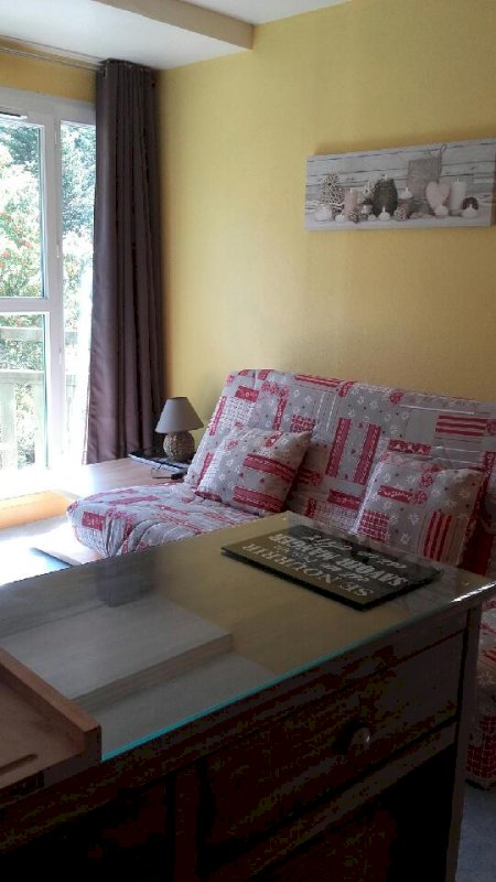 Appartement T2 30m² | Lioran - Photo 7 - Lioran Laveissière