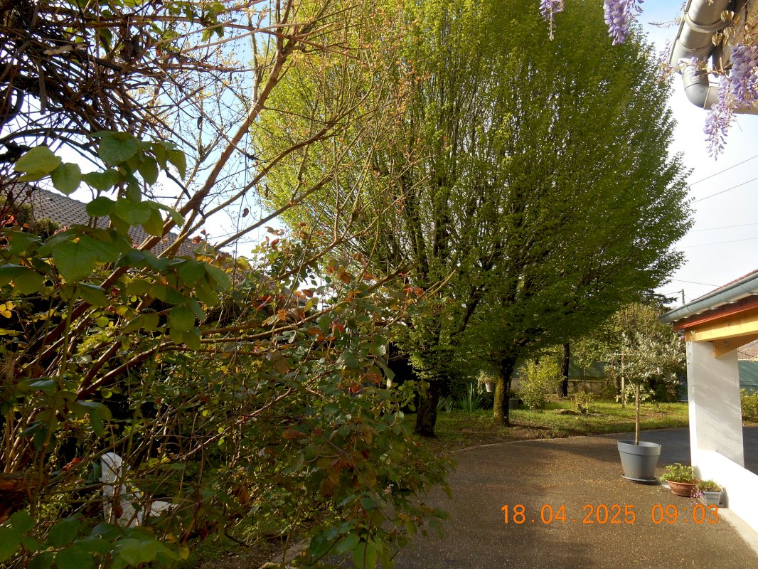 ph7_73167