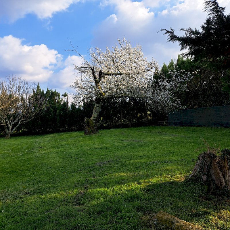 Grande Maison Traditionnelle à la campagne / 9 pièces / 180 m² / Terrain 1500 m² à 15 minutes gare SNCF et accès autoroute - Photo 9 - Saint-Bonnet-de-Chavagne