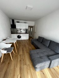 Appartement haut de gamme - Le Puy-en-Velay - Le Puy-en-Velay (43000)