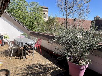 Appartement d'exeption au coeur de la ville - Annecy (74000)