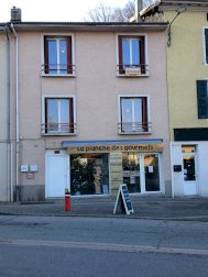 2 appartements + Fond de commerce (160 + 68 m²) - Vinay (38470)